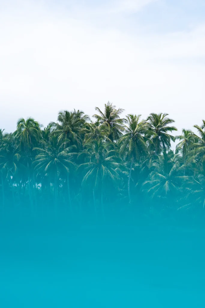 2024 Mentawai islands