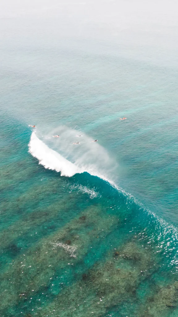 2024 Aframes Mentawai islands